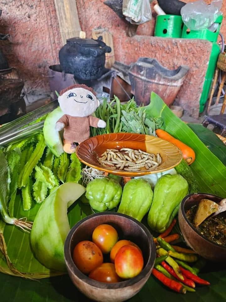 Apartmán Akha Mud House Mae Salong Exteriér fotografie